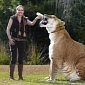 922-Pound (418-Kg) Liger Gets Title of World’s Biggest Cat
