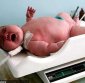 An 8 Kg (17 Pounds) Newborn Girl!