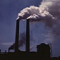 A Bad Mix: Stress and Pollution Damage to the Lungs