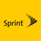 A Client Name Is All You Need to Hack a Sprint Account