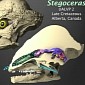 A Dinosaur's Big and Fairly Complex Nose Served to Cool Its Brain