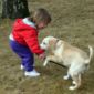 A Dog Against Child Obesity