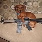 A Dog Shot Its Owner with a Rifle and There Is Nothing Funny About It