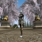 A New European Server for Lineage II Available