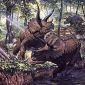 A New Horny Dinosaur, a Missing Link from Small to Large Horns