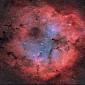 A Spectacular 3D Animation of a Nebula