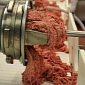 ABC Sued over Pink Slime Coverage