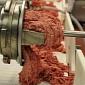 AFA Foods Files for Bankruptcy over Pink Slime Outcry