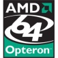 AMD Brings More Power to Its Opterons Lineup