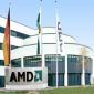 AMD Buyers Suffer from Channel Shortage