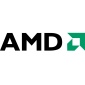 AMD Graphic Cards Receive GDDR5 memory