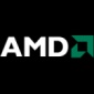 AMD 'Leo' and 'Dorado' Platforms Due Out in May 2010