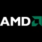 AMD Next-Gen 'Congo' Chip Naming Wasn't a Good Decision