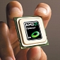 AMD Opteron 3200 Series CPUs Also Show Up