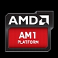 AMD Releases Athlon and Sempron “Kabini” APUs for AM1 Socket
