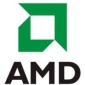 AMD Shares Slump