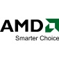 AMD Taking a Shot at the Netbook Market?