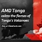 AMD Tonga GPU Tipped for August, Set to Replace Radeon R9 280 GPU