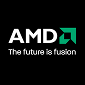 AMD to “Bet Heavily on Windows 8”