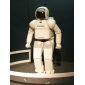 ASIMO: The Superstar's Popularity Explodes!