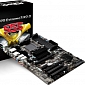 ASRock Launches AM3+ AMD-Ready Motherboard