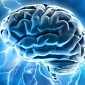 Medical Oddity: Head Injury Gives Woman Amazing Brain Power
