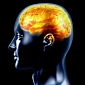 Acute Stress Improves Brain Performance, Researchers Explain