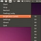 Adjust the Laptop's Brightness Automatically in Ubuntu with Your Webcam and WildGuppy 1.0