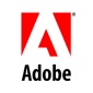 Adobe Acquires Business Catalyst