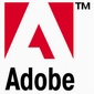 Adobe Applications Bugged