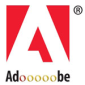 Adobe Really Likes Google