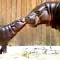 Adorable Baby Pygmy Hippo Born at Zoo in Portugal