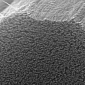 Advanced Nanotube Supercapacitor Created at Rice