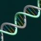 Advanced Sensors Suitable for DNA Detection