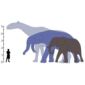 After Dinosaur Extinction Mammals Got Much Bigger