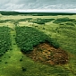 Agriculture, Climate, Weather Patterns Will All Be Affected by Deforestation