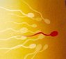 Air Contamination Causes Sperm Mutations!