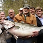 Alabama Angler Catches Monster 70 Lb (31 Kg) Striped Bass