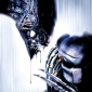 Aliens and Predators to Fight Once Again in 2010