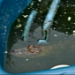 Alligator Found in Hot Tub in Florida – Florida