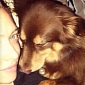 Amanda Seyfried Gushes About Dog Finn on Ellen – Video