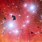 Amazing Space Photo of Stellar Anniversary Is VLT's Birthday Gift to Us