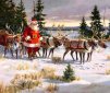 8 Amazing Things about Reindeer