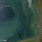Amazing Water Color Variations Spotted in the North Sea