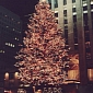 America's National Christmas Tree Goes Green for the 5th Year
