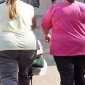 Americans Hate Fat People, Anti-Fat Rhetoric Is Out of Line