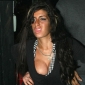 Amy Winehouse Back in Rehab for New Lover