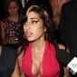 Amy Winehouse Shows Off New Implants, Embarrasses Herself