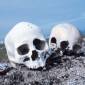 Ancient Argentinian Skulls Hint at American Population Origins