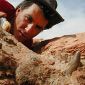 Ancient Crocodiles Roamed Sahara with the Dinosaurs